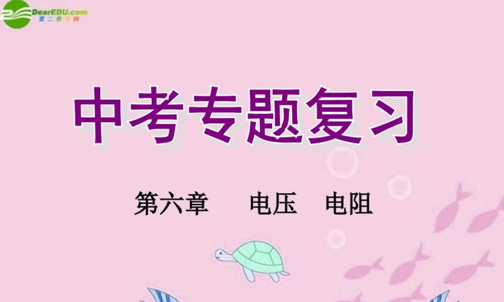 中考物理 (电压电阻)复习课件 人教新课标版 课件