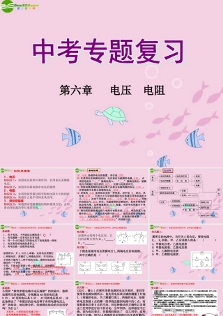 中考物理 (电压电阻)复习课件 人教新课标版 课件