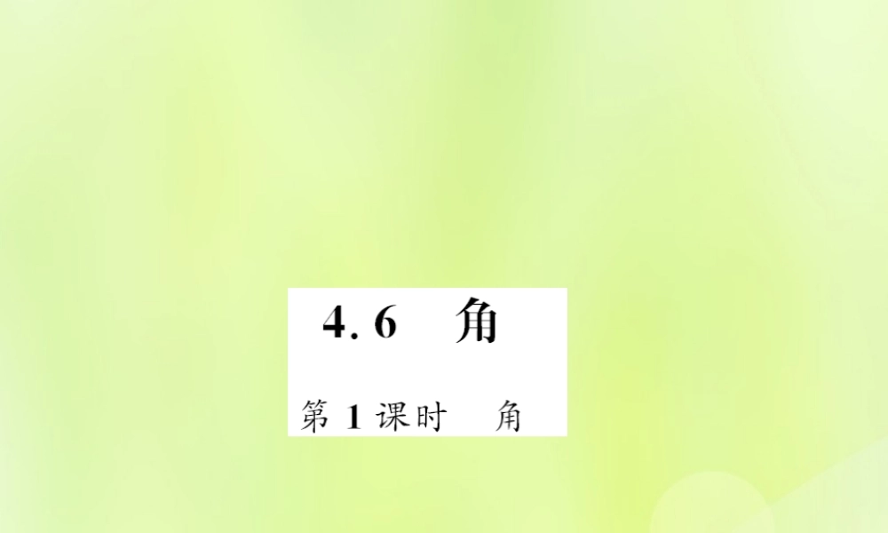 七年级数学上册 第4章 图形的初步认识 4.6 角 第1课时 角习题课件 (新版)华东师大版 课件