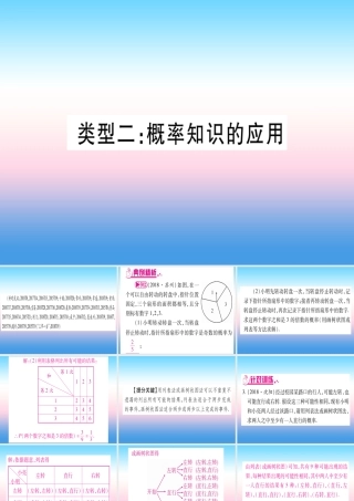(湖北专版)中考数学总复习 第2轮 中档题突破 专项突破8 统计与概率 类型2 概率知识的应用习题课件