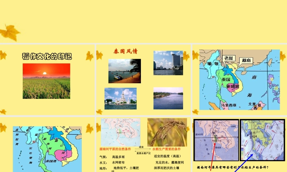 七年级历史上册 4.1(家住平原)课件 人教新课标版 课件