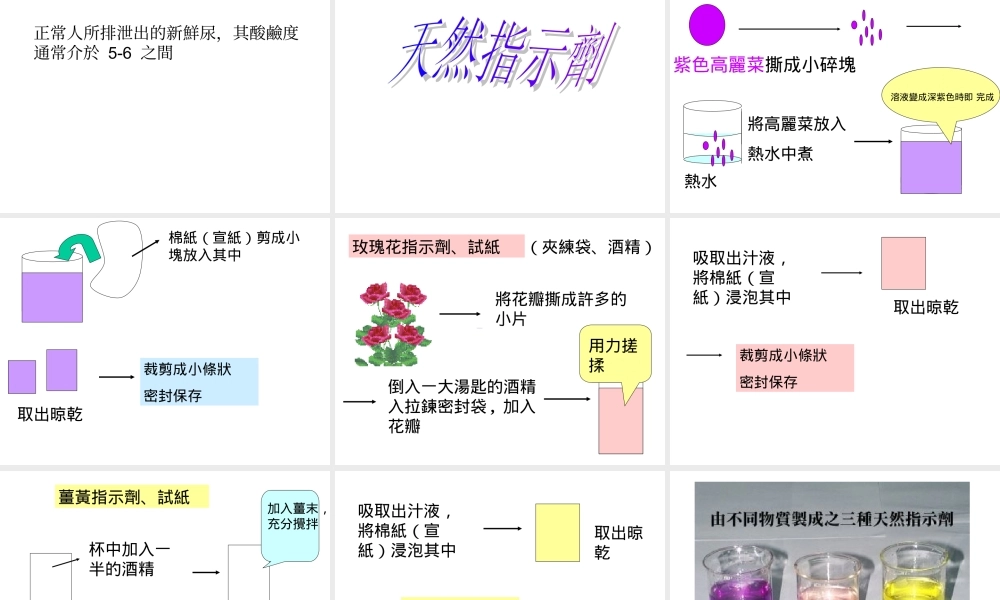 九年级化学生活中的酸和碱 课件鲁教版 课件