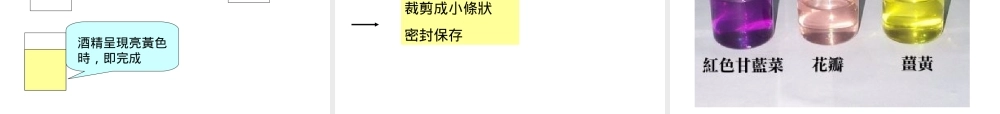 九年级化学生活中的酸和碱 课件鲁教版 课件