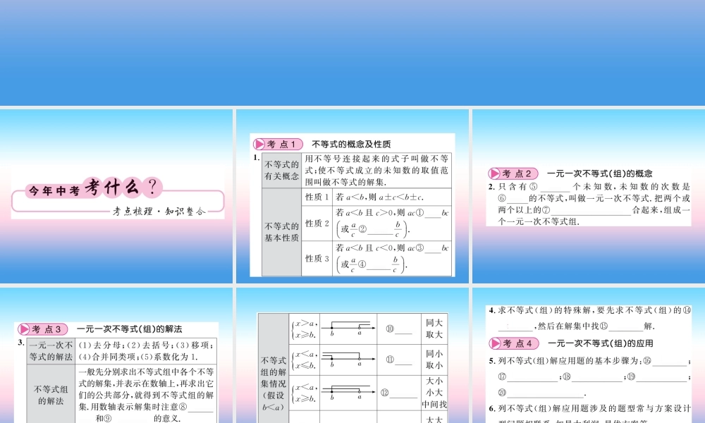 (课标版通用)中考数学一轮复习 第2章 方程组与一元一次不等式组 第8节习题课件