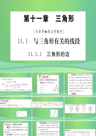 (江西专用)八年级数学上册 第11章 三角形 11.1 与三角形有关的线段 11.1.1 三角形的边作业课件 (新版)新人教版 课件
