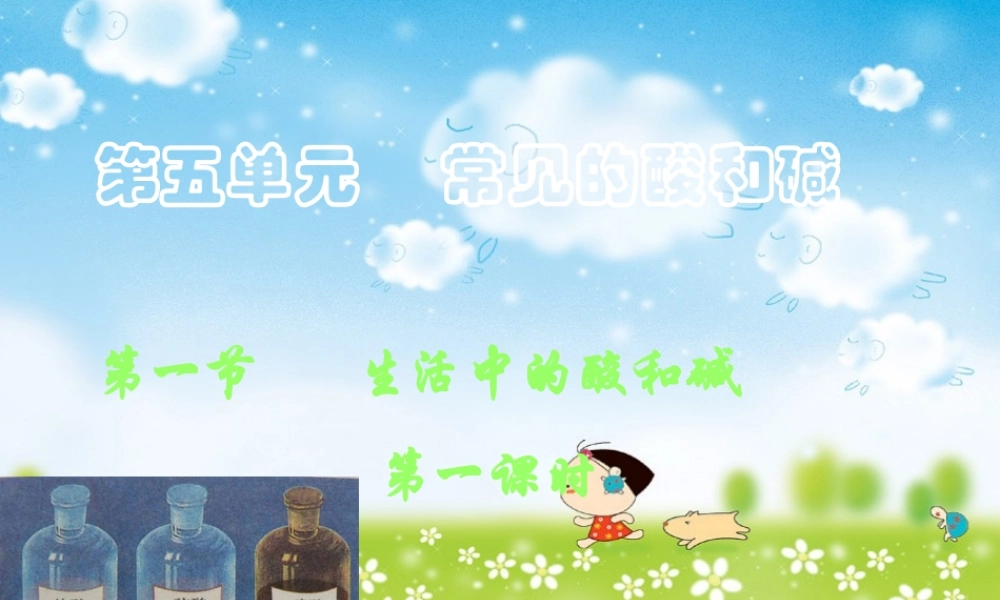 九年级化学 第五章第一节 生活中的酸和碱课件鲁教版 课件