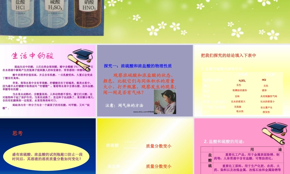 九年级化学 第五章第一节 生活中的酸和碱课件鲁教版 课件