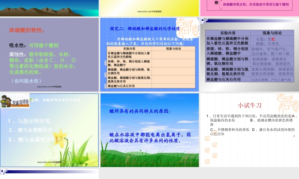 九年级化学 第五章第一节 生活中的酸和碱课件鲁教版 课件