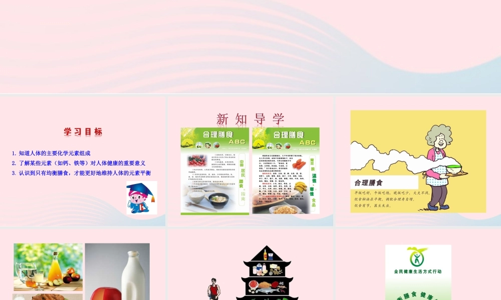 九年级化学下册 第十单元 第二节 化学元素与人体健康课件 鲁教版 课件