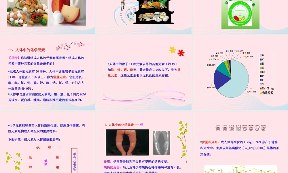 九年级化学下册 第十单元 第二节 化学元素与人体健康课件 鲁教版 课件