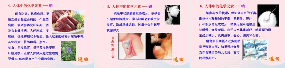 九年级化学下册 第十单元 第二节 化学元素与人体健康课件 鲁教版 课件