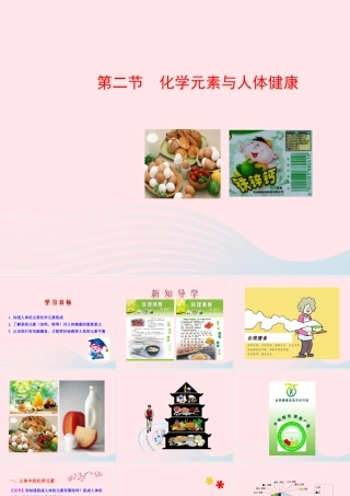 九年级化学下册 第十单元 第二节 化学元素与人体健康课件 鲁教版 课件