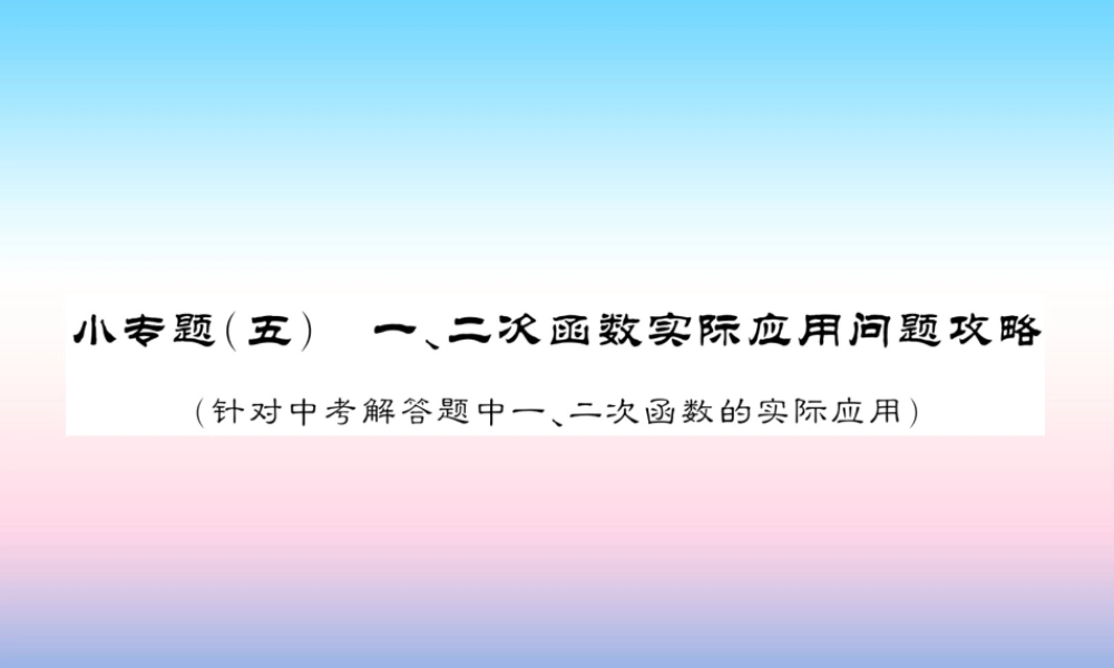 (课标版通用)中考数学总复习 第二轮 小专题集训 题型专攻 小专题(五)习题课件