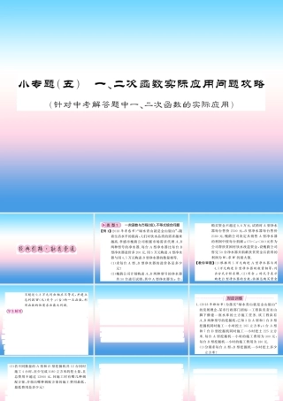 (课标版通用)中考数学总复习 第二轮 小专题集训 题型专攻 小专题(五)习题课件