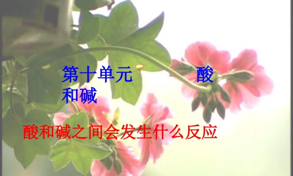 九年级化学酸和碱之间会发生什么反应 3课件粤教版 课件