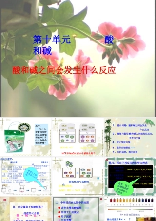 九年级化学酸和碱之间会发生什么反应 3课件粤教版 课件