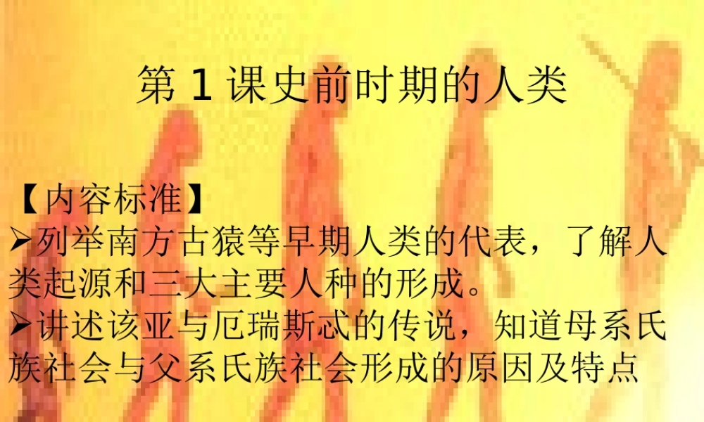 九年级历史上册 第1课 史前时期的人类课件 岳麓版 课件