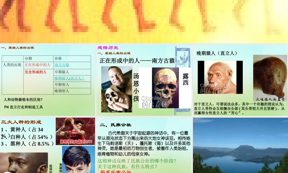 九年级历史上册 第1课 史前时期的人类课件 岳麓版 课件