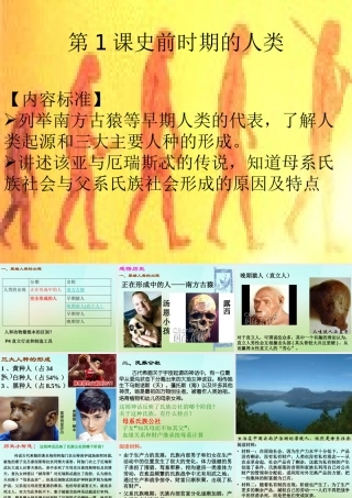 九年级历史上册 第1课 史前时期的人类课件 岳麓版 课件