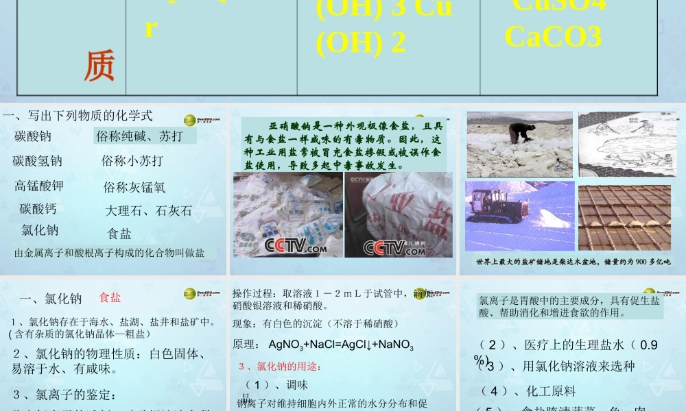 九年级化学下册 第11单元 课题1 生活中常见的盐课件 新人教版 课件