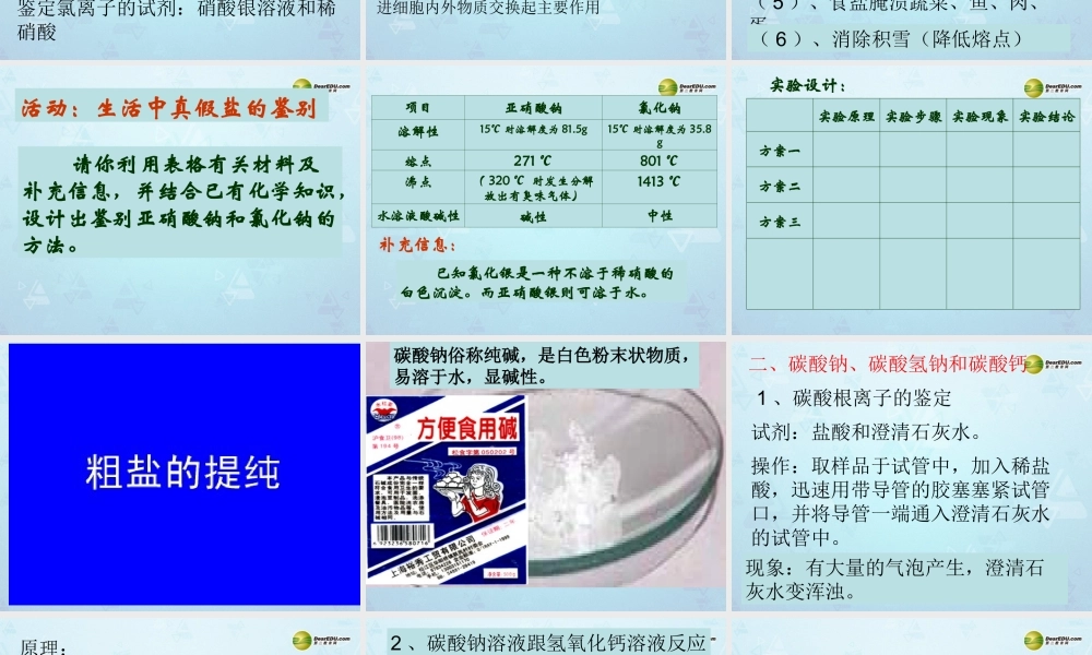 九年级化学下册 第11单元 课题1 生活中常见的盐课件 新人教版 课件