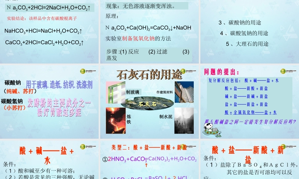 九年级化学下册 第11单元 课题1 生活中常见的盐课件 新人教版 课件