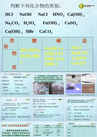 九年级化学下册 第11单元 课题1 生活中常见的盐课件 新人教版 课件