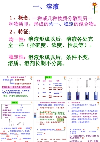 九年级化学(溶液的形成)课件