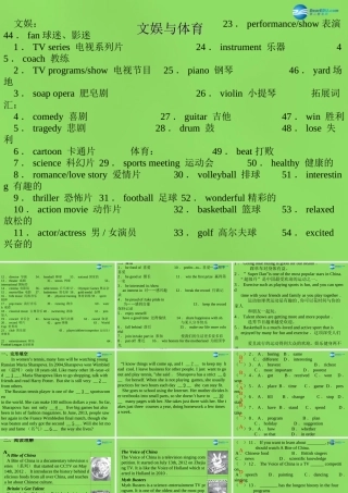 中考英语必备复习 文娱与体育课件
