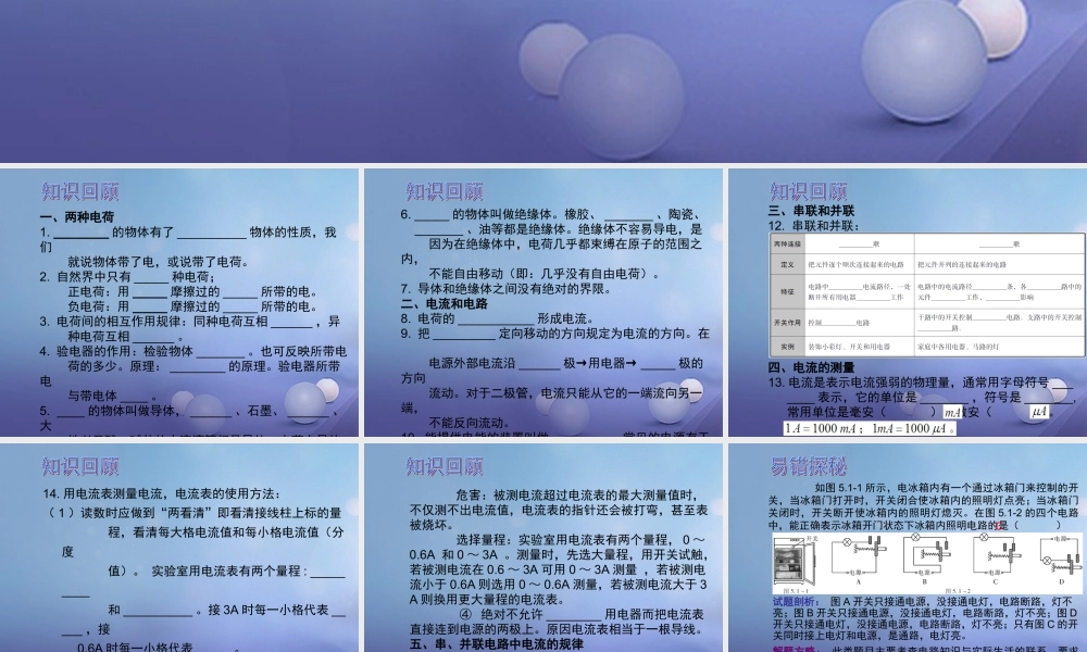 中考物理总复习 第十六章 电流和电流课件