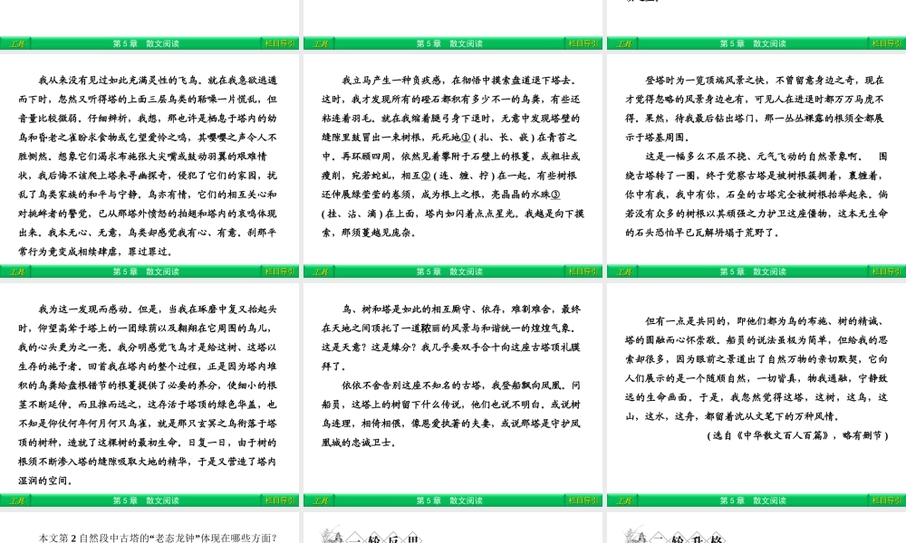 1 概括文意 课件