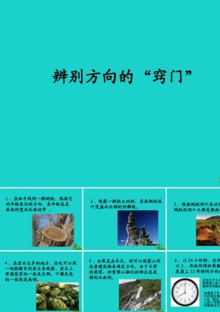 七年级地理上册 第一章 第三节 地图 辨别方向的窍门课件 中图版 课件