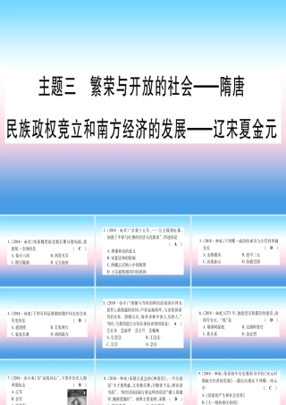 (云南专用)中考历史总复习 第一篇 考点系统复习 板块1 中国古代史 主题三 繁荣与开放的社会—隋唐 民族政权竞立和南方经济的发展—辽宋夏金元(精练)课件