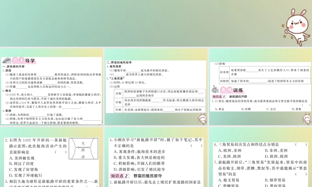 九年级历史上册 第四单元 近代的开端和新制度的确立 第13课 新航路的开辟与早期殖民掠夺课件 岳麓版 课件