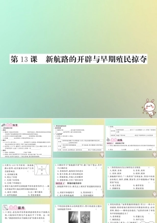 九年级历史上册 第四单元 近代的开端和新制度的确立 第13课 新航路的开辟与早期殖民掠夺课件 岳麓版 课件