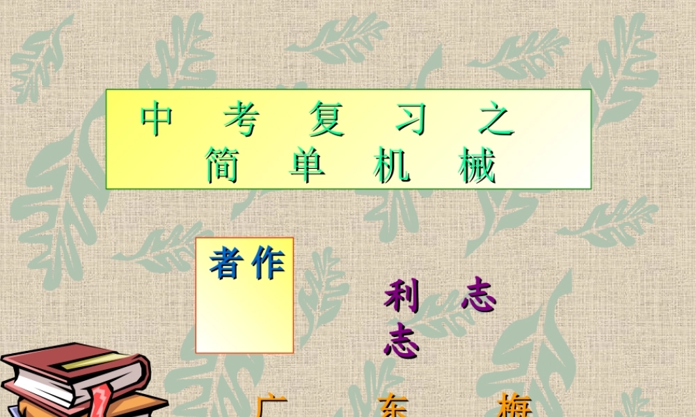 中考物理复习 简单机械课件