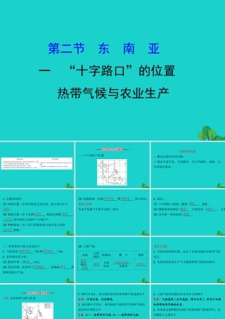 七年级地理下册 第七章 第二节 东南亚(一 十字路口的位置 热带气候与农业生产)习题课件(新版)新人教版 课件