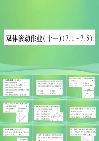 (江西专用)八年级数学上册 双休滚动作业(十一)作业课件 (新版)北师大版 课件