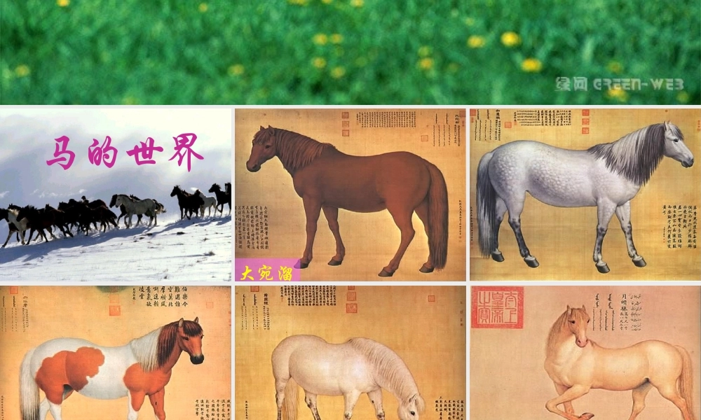 七年级下第六单元综合性学习马的世界课件 人教版 课件