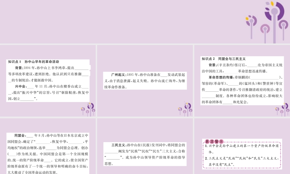(河南专版)八年级历史上册 第三单元 资产阶级民主革命与中华民国的建立 第8课 革命先行者孙中山课件 新人教版 课件