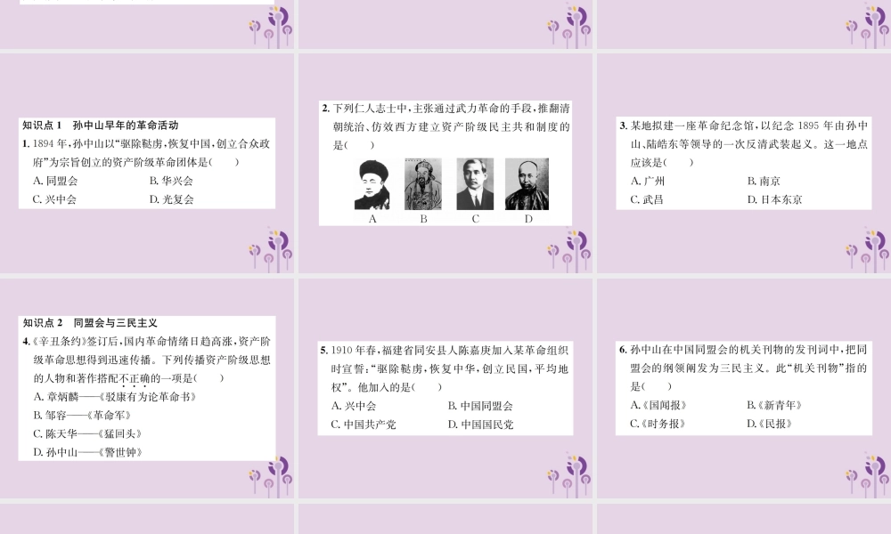 (河南专版)八年级历史上册 第三单元 资产阶级民主革命与中华民国的建立 第8课 革命先行者孙中山课件 新人教版 课件