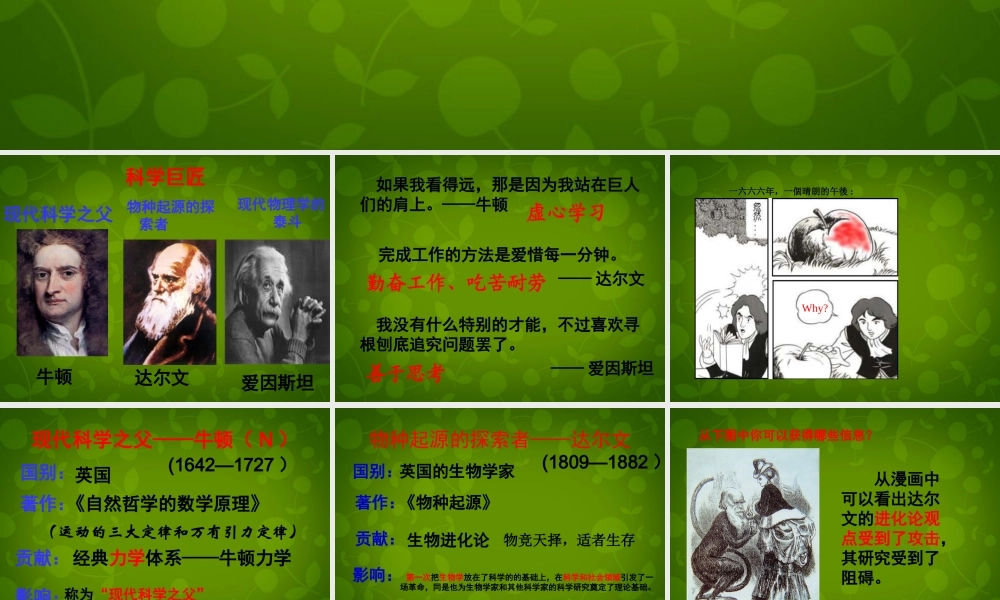 九年级历史上册 23 构建科学殿堂的巨匠课件 北师大版 课件