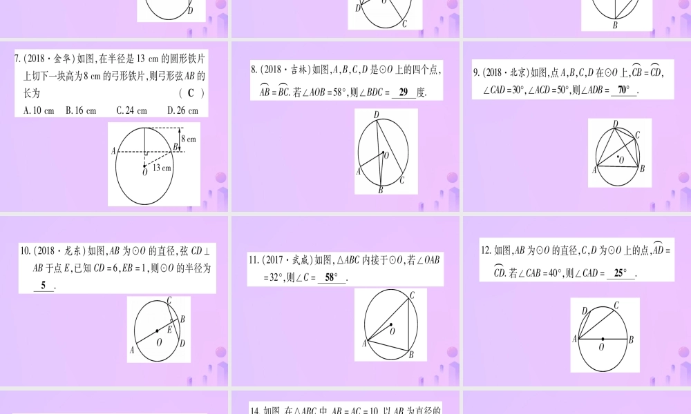 (云南专用)中考数学 第一轮 考点系统复习 第6章 圆 第1节 圆的有关性质作业课件