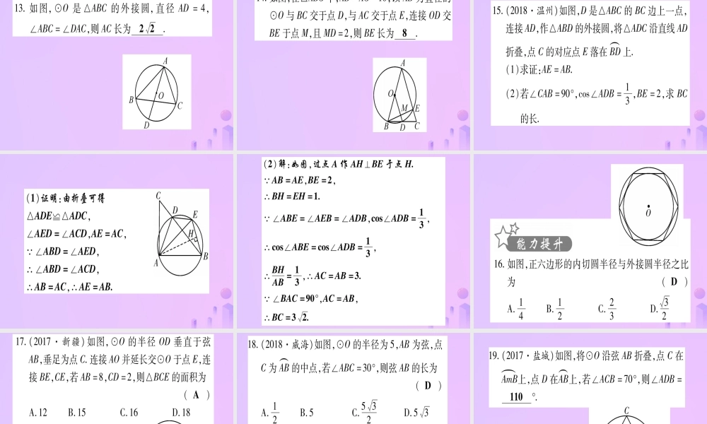 (云南专用)中考数学 第一轮 考点系统复习 第6章 圆 第1节 圆的有关性质作业课件
