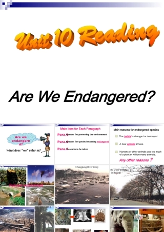 Unit10 Reading 人教版 课件