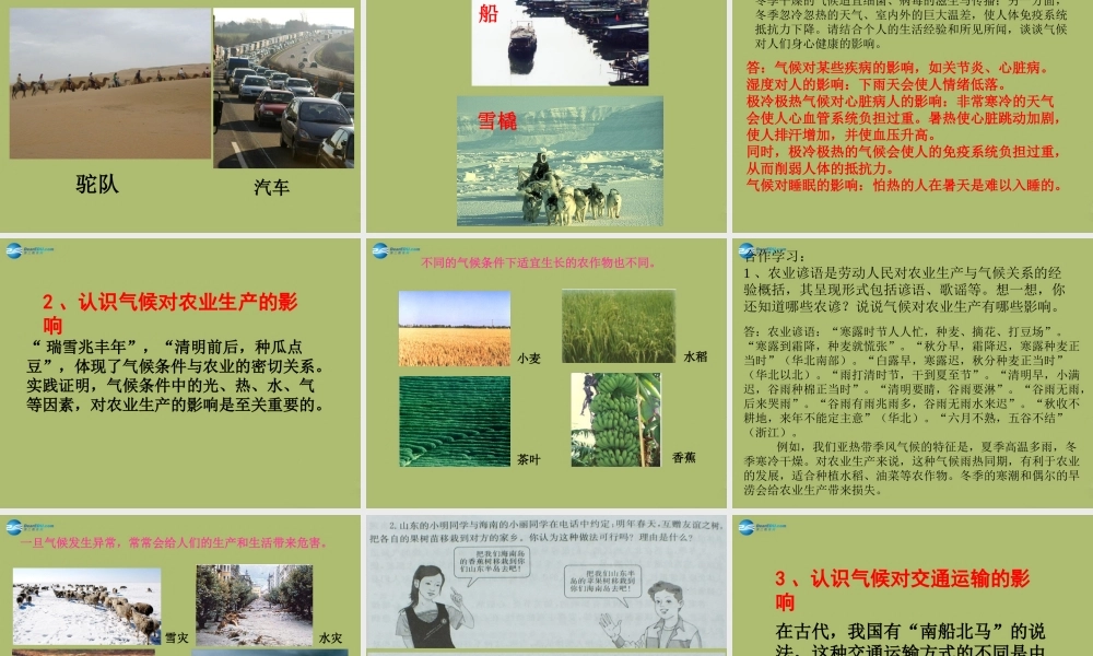 七年级地理上册 第四章 活动课—气候与我们的生产生活课件 商务星球版 课件