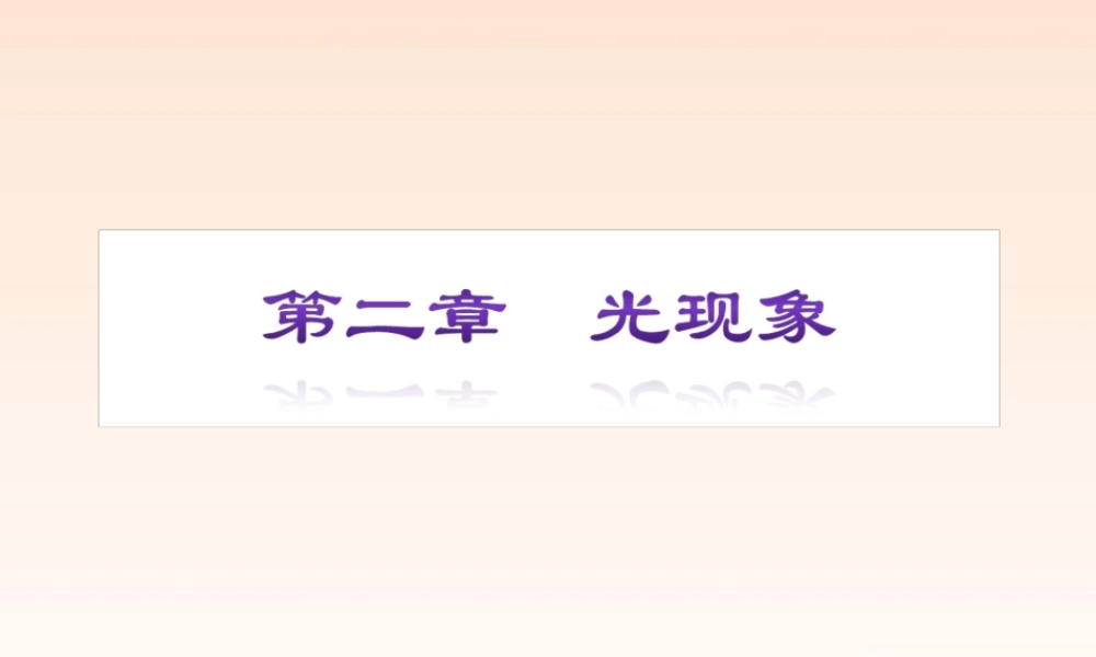 中考物理 光现象复习专题课件