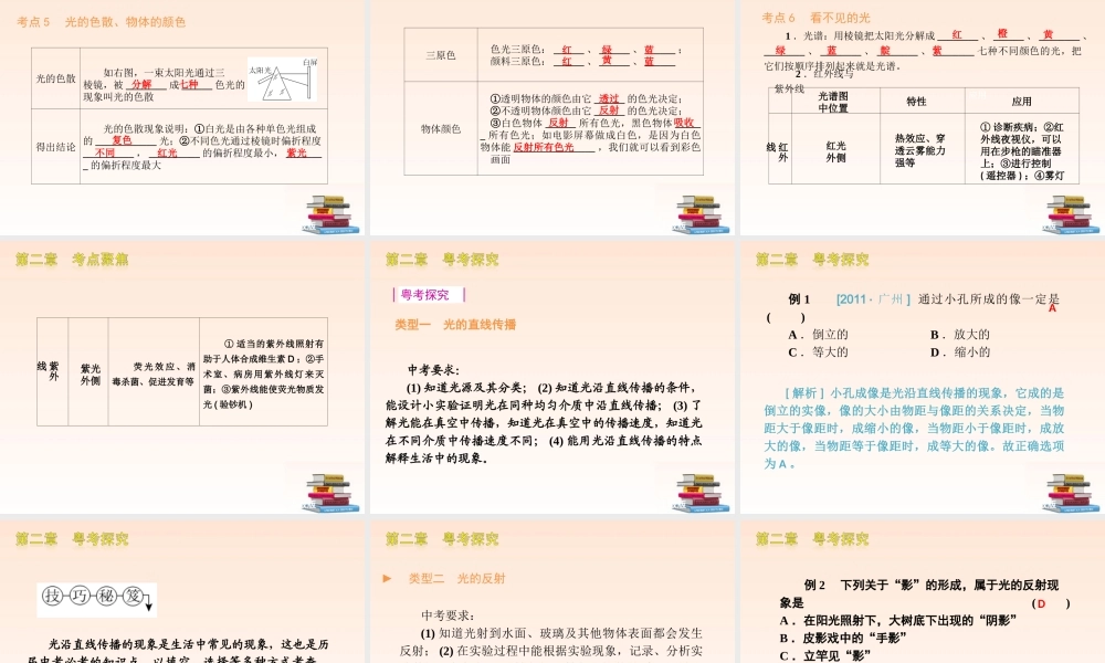 中考物理 光现象复习专题课件