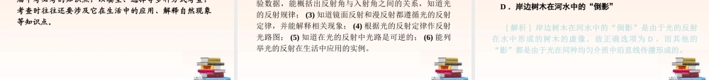 中考物理 光现象复习专题课件