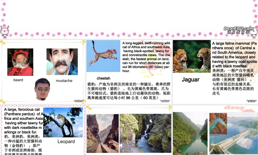 Unit1生词与词组讲解课件示例 人教版 课件